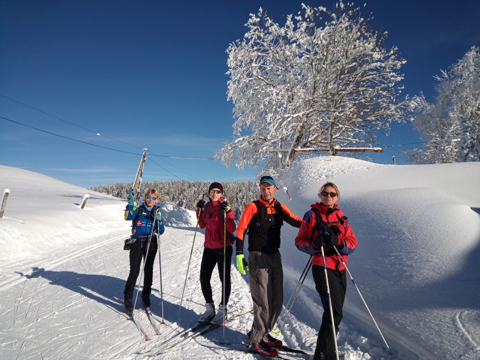 Ski de fond