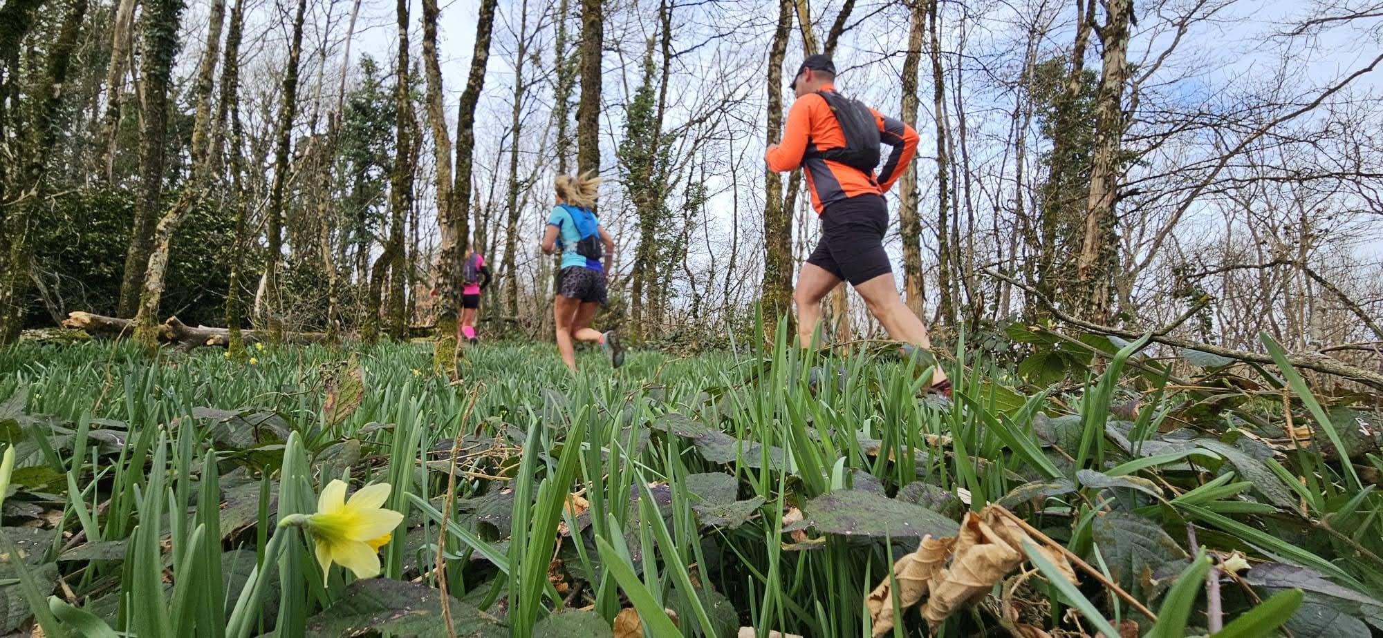 Activité trail