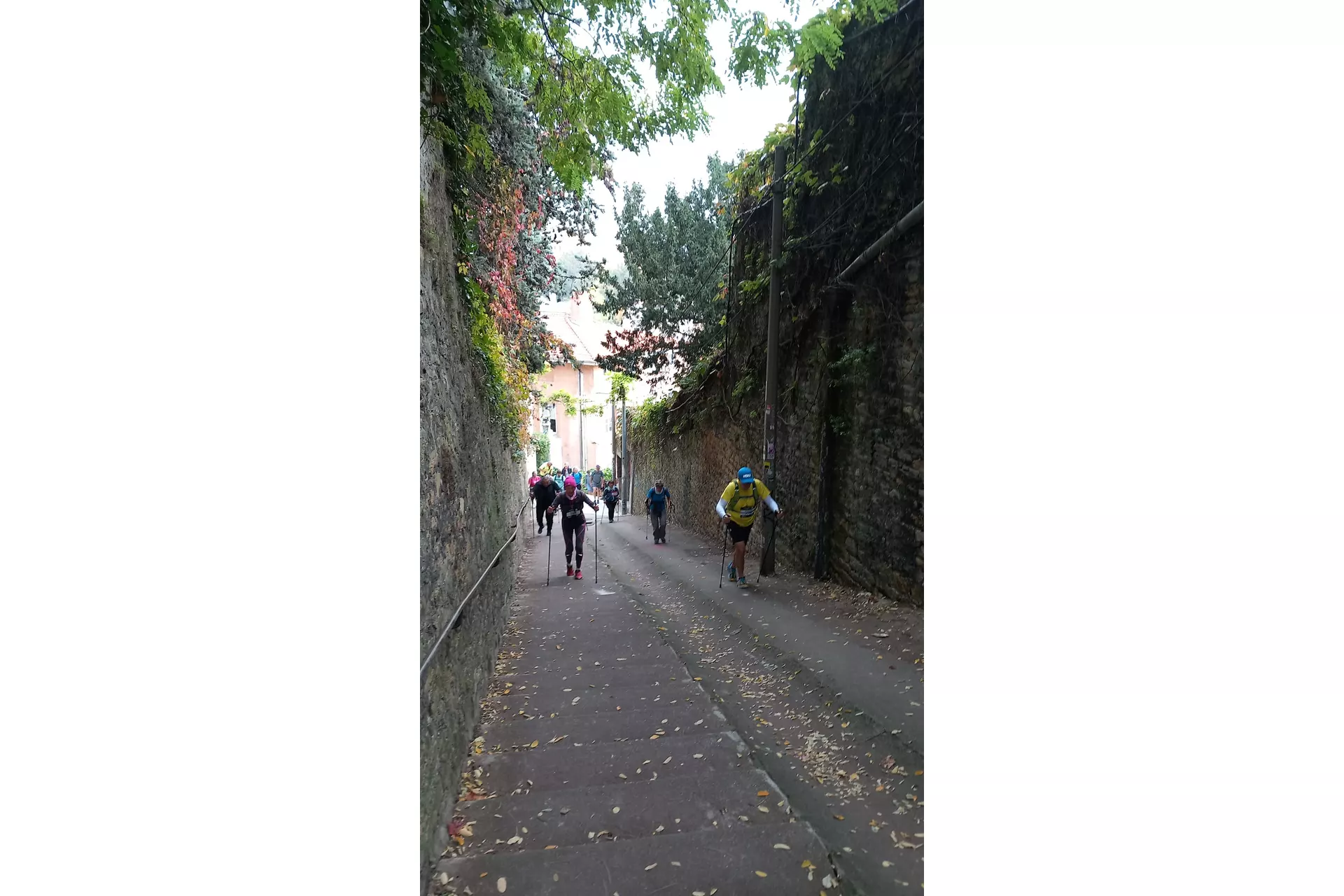 Nordicwalk Lyon du 12 octobre