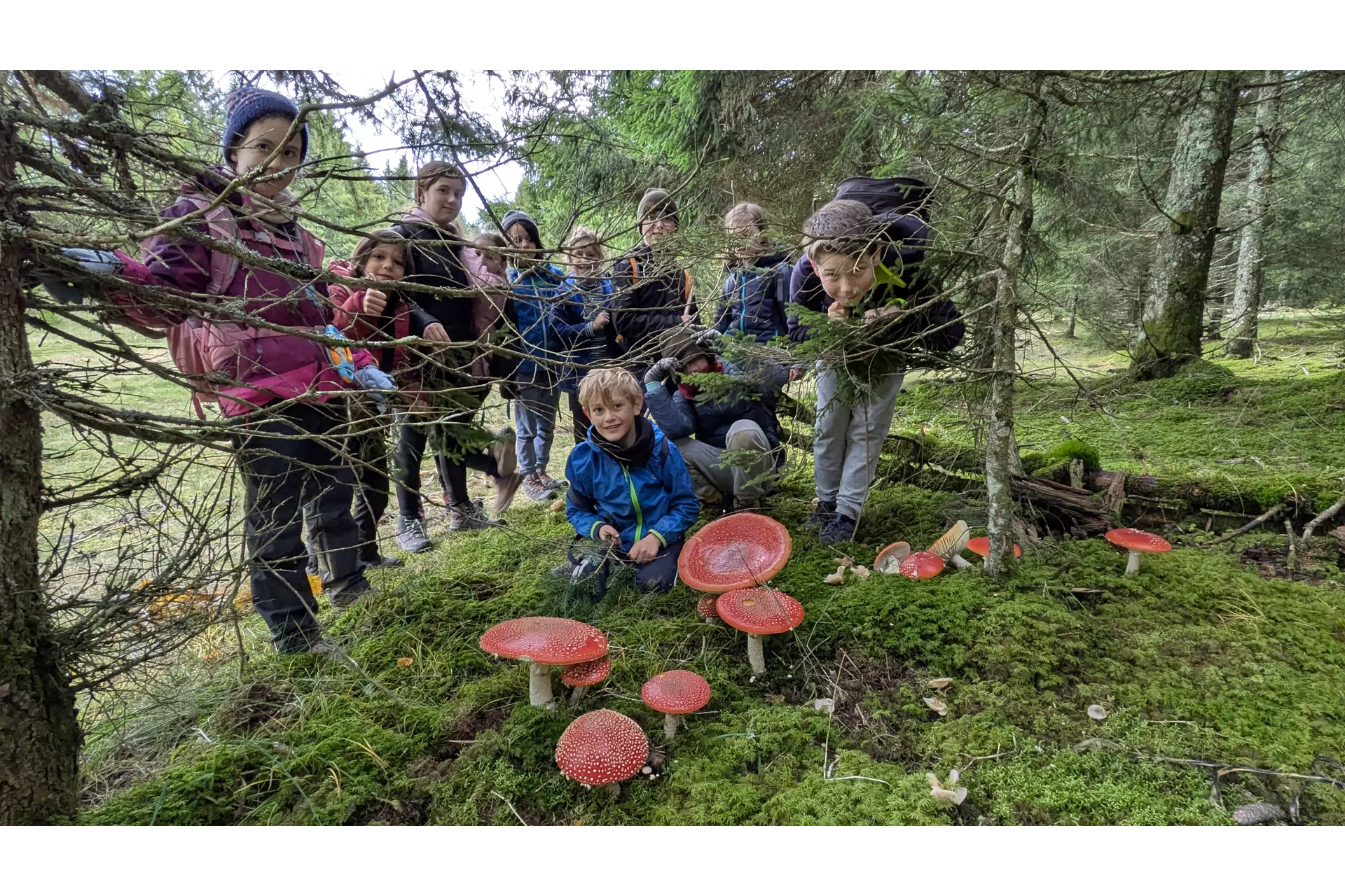 Montagne rousse à la Conay
