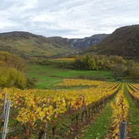 Vignes colorées entre Préau et Mérignat 01/11/2025