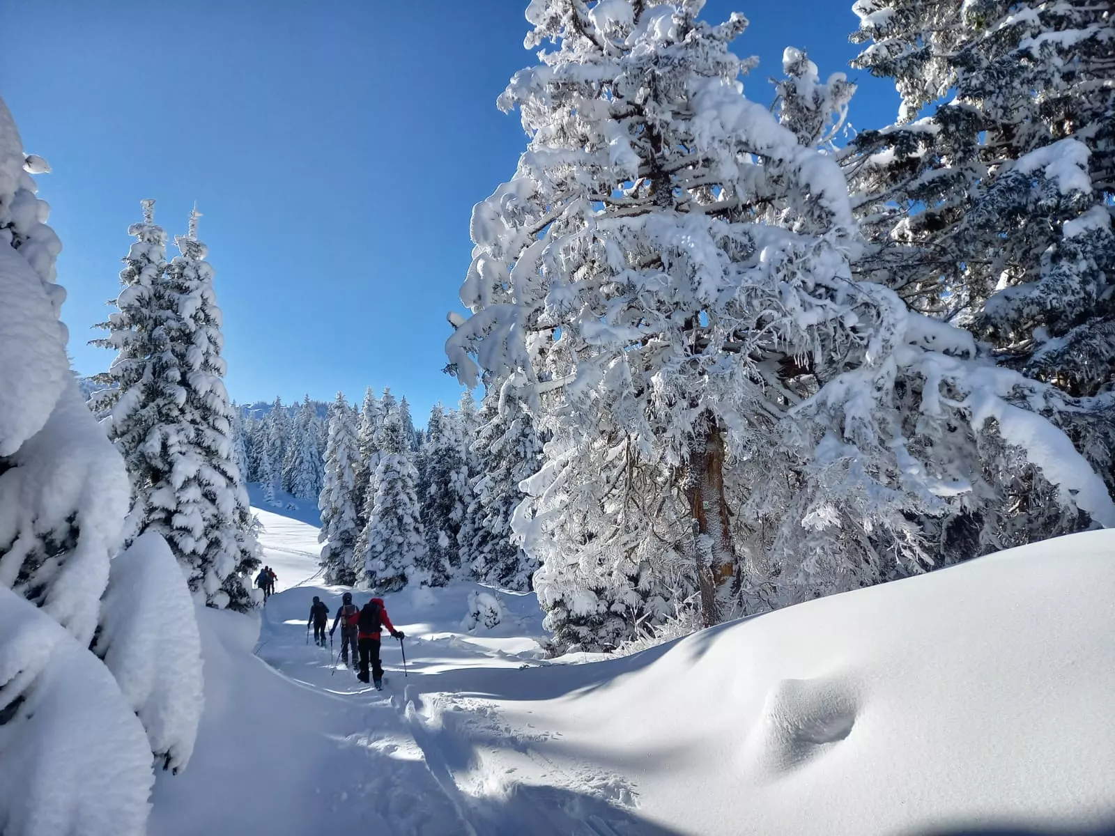 OUVERTURE SAISON SKI RANDO