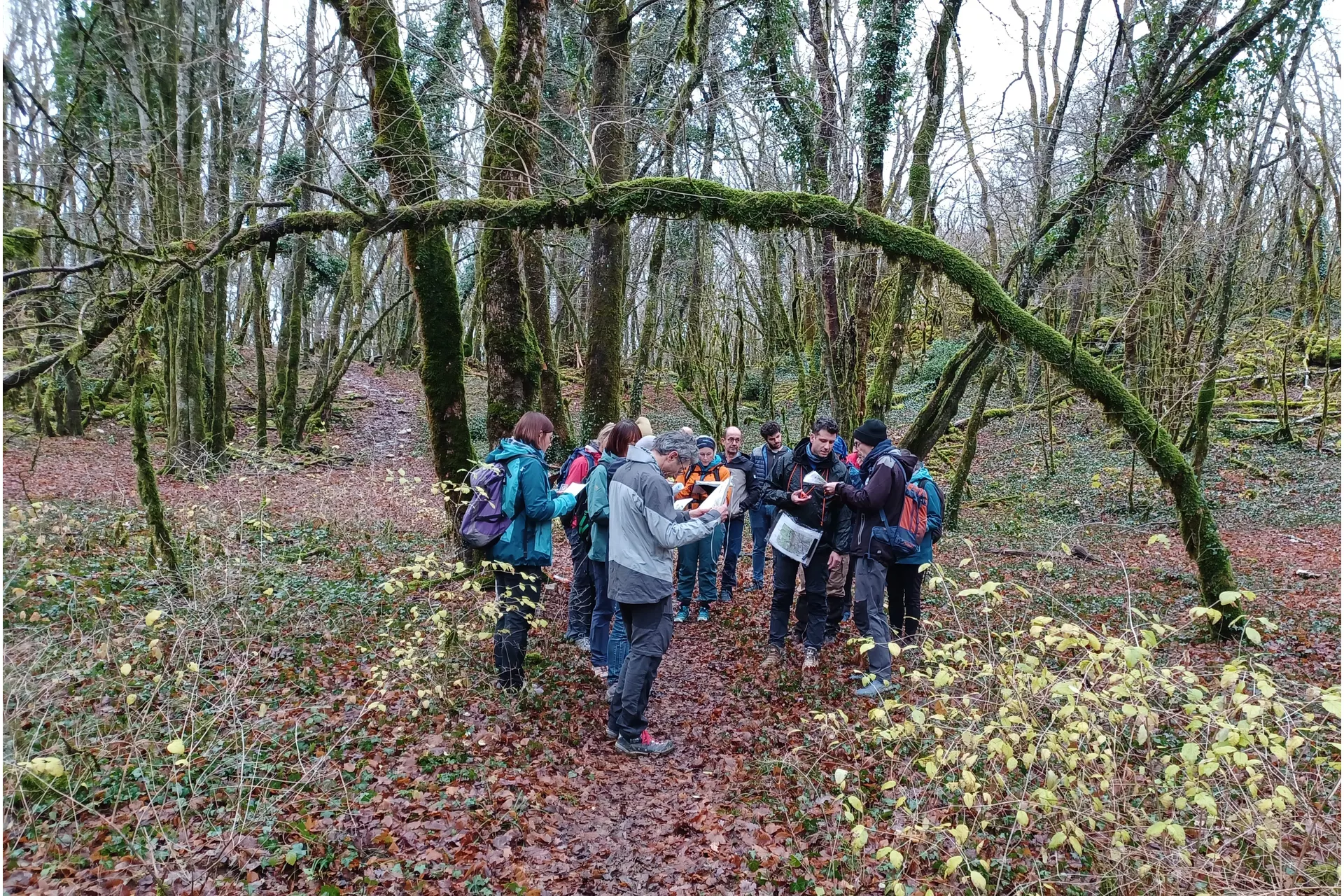 Les Cafistes tout azimut