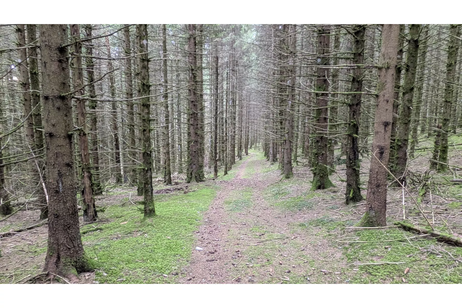 Une rando de Noël bien sympathique