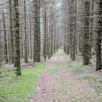 Une rando de Noël bien sympathique