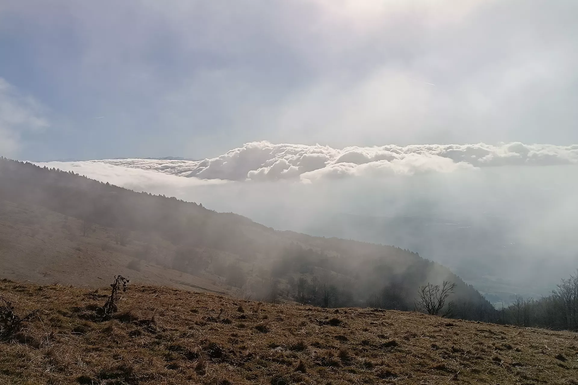 Jour de ‟Burle” au Grand Crêt d’Eau …