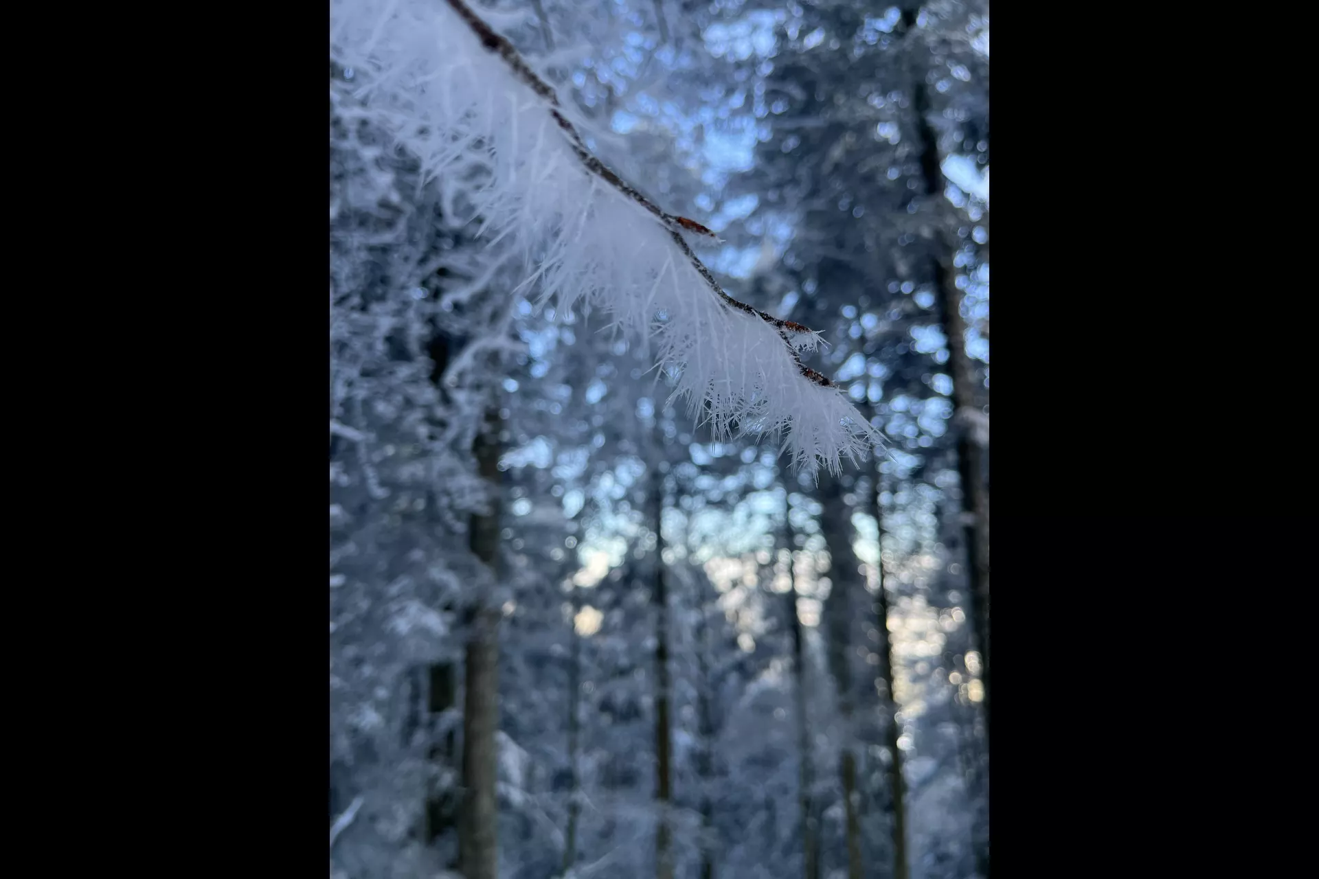 Parenthèse blanche à la Conay