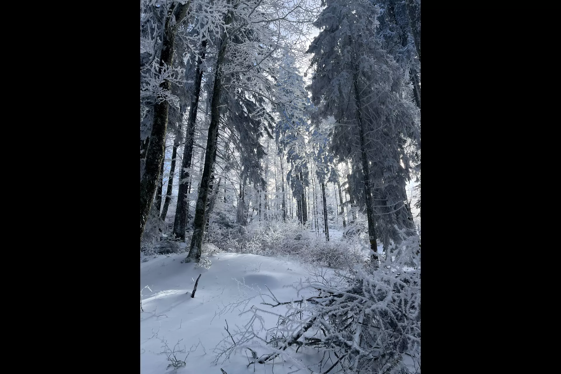 Parenthèse blanche à la Conay