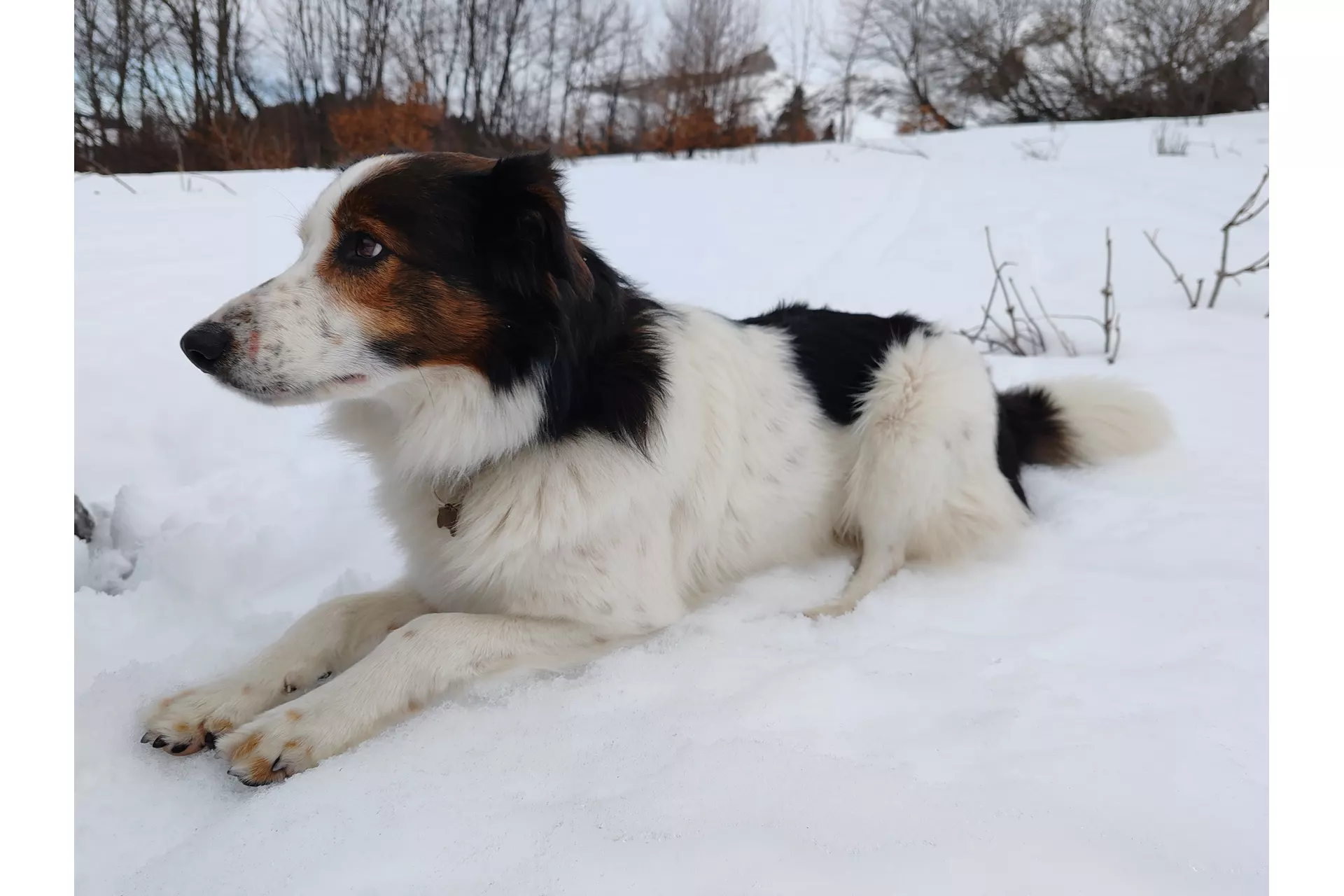 Chatelet / Les Halles ... Combe à l'avion...