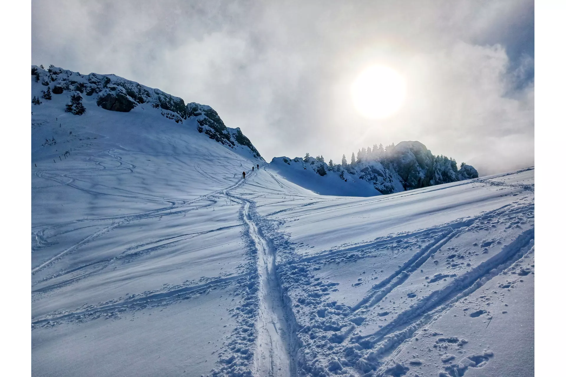 Contemplation en Chartreuse...