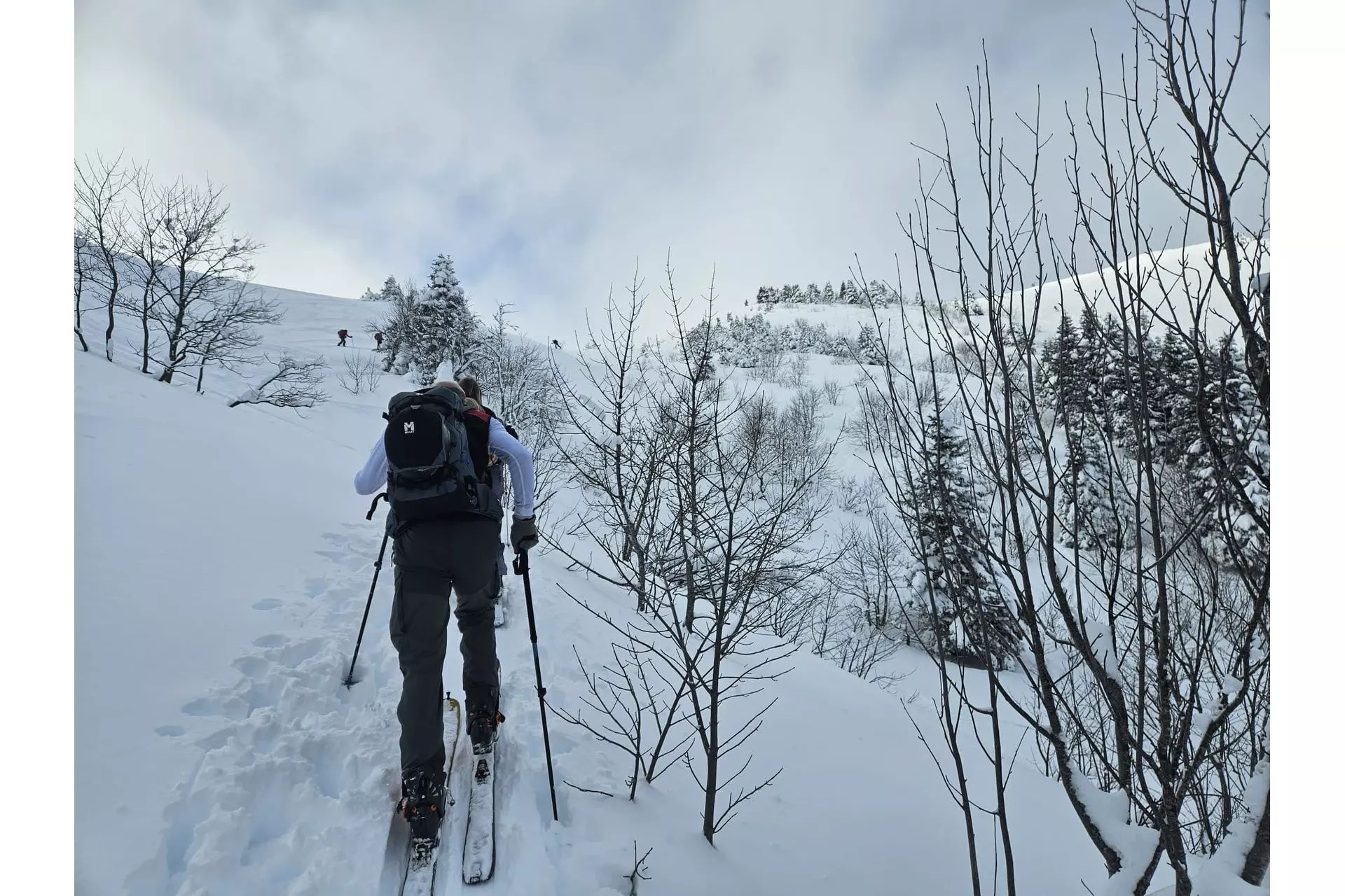 Contemplation en Chartreuse...