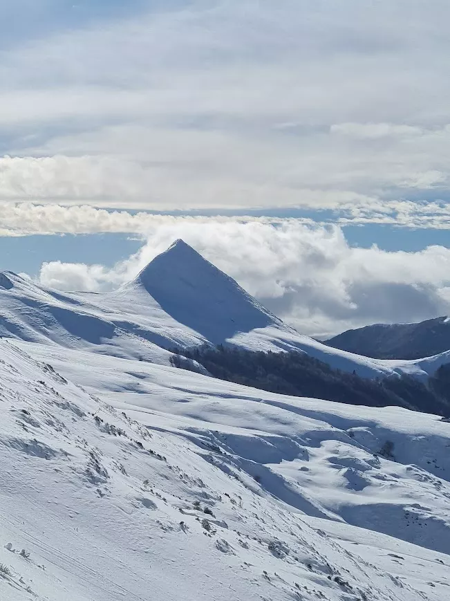 Le Cantal, un pays sans égal ...
