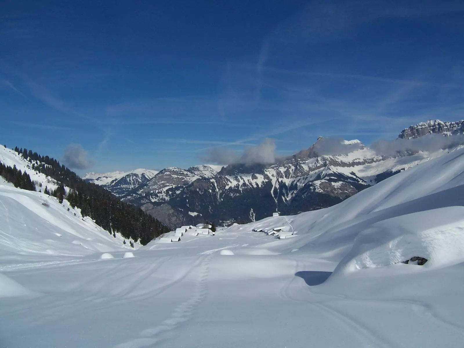 Les quatre Têtes "retour vers le futur"!