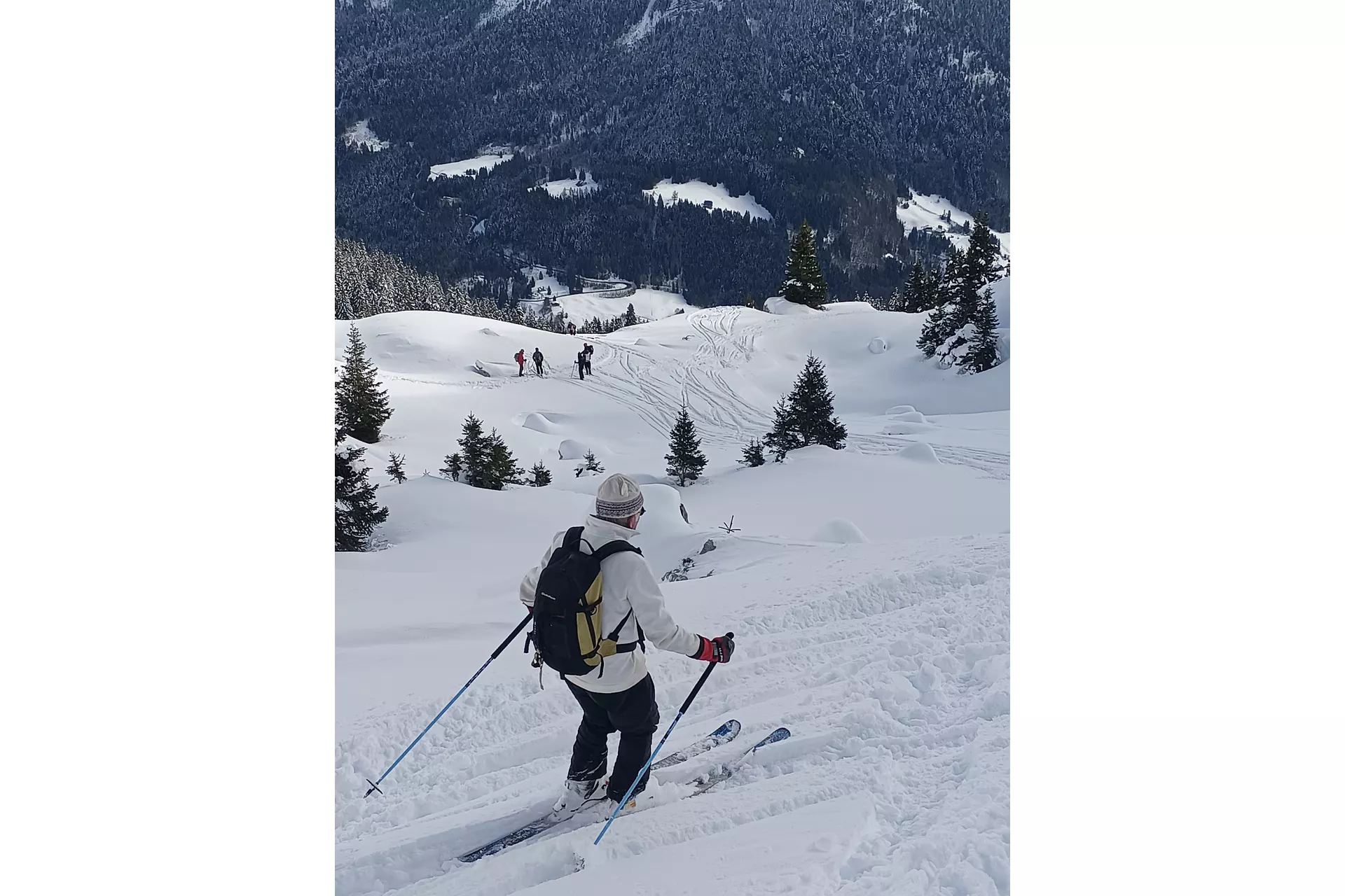 Sous l'aile du Gypaète