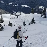 Sous l'aile du Gypaète