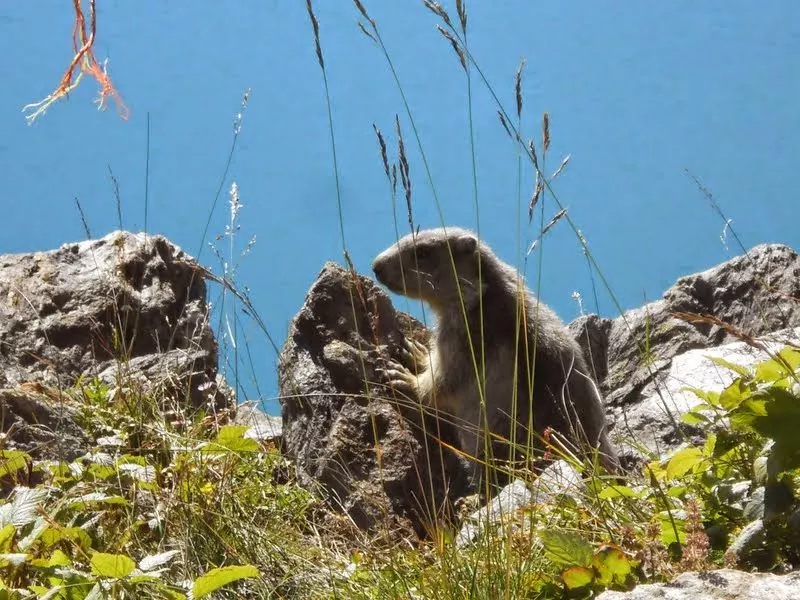 Séjours jeunes printemps-été 2026