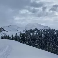 Toujours pas de Combe sauvage pour Louis Paul !!!