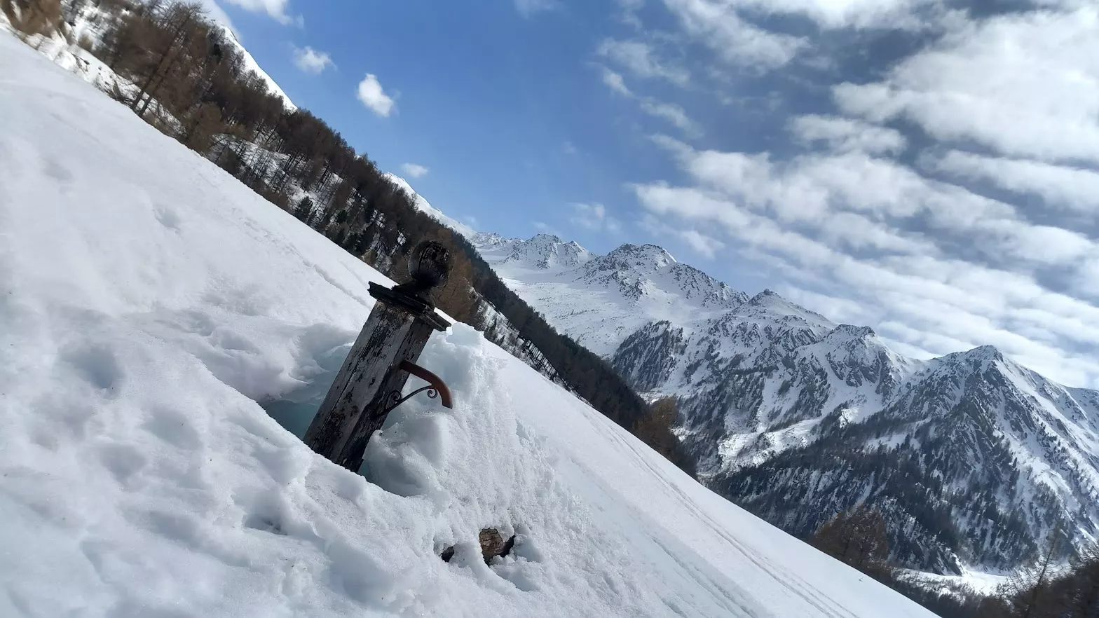 A L'AISE DANS LES MELEZES