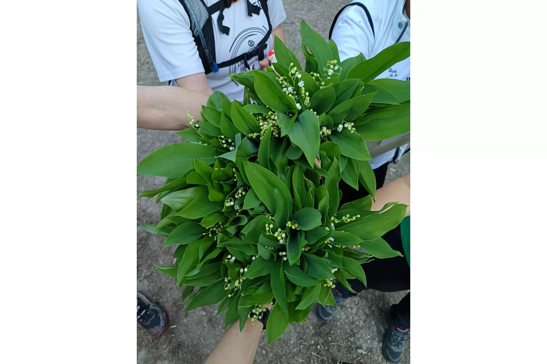 Quand notre sortie hebdo se transforme .....