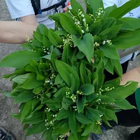 Quand notre sortie hebdo se transforme .....