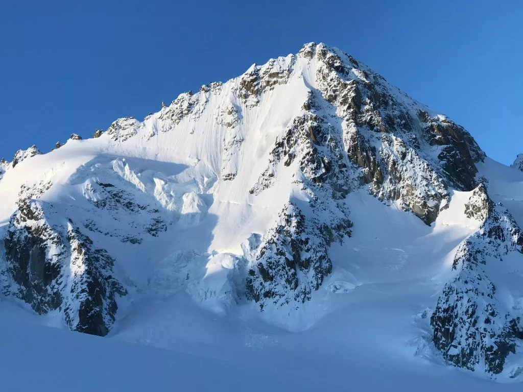 Souvenirs : Chardonnet éperon Migot
