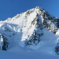 Souvenirs : Chardonnet éperon Migot
