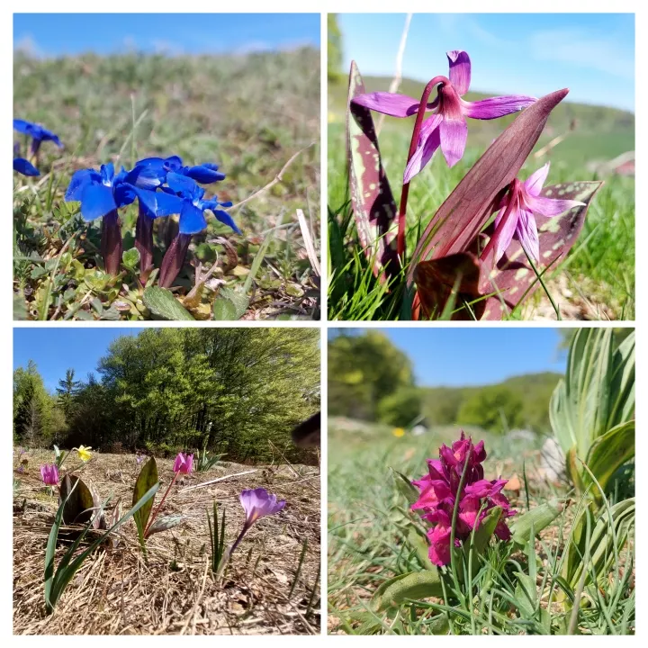 Un WE à La Conay, c’est...