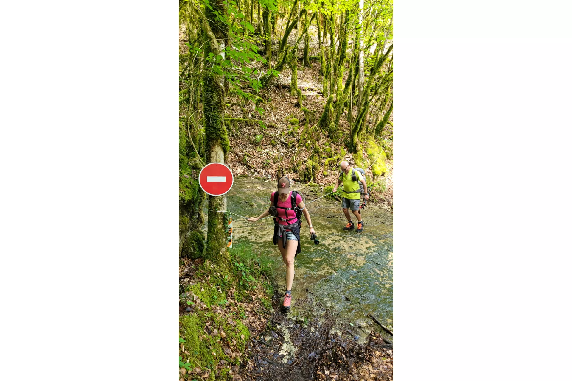 6a00ad9496166_20260510_170951.webp
