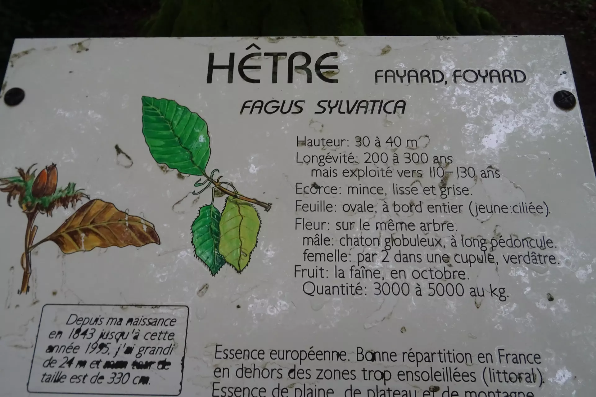 6a14ac92645a2_DSC06216.webp