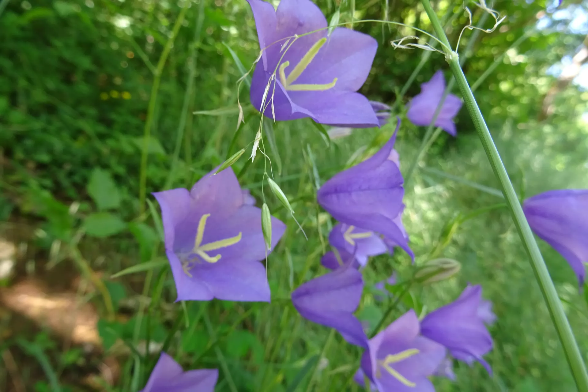 6a14acac57535_DSC02132.webp