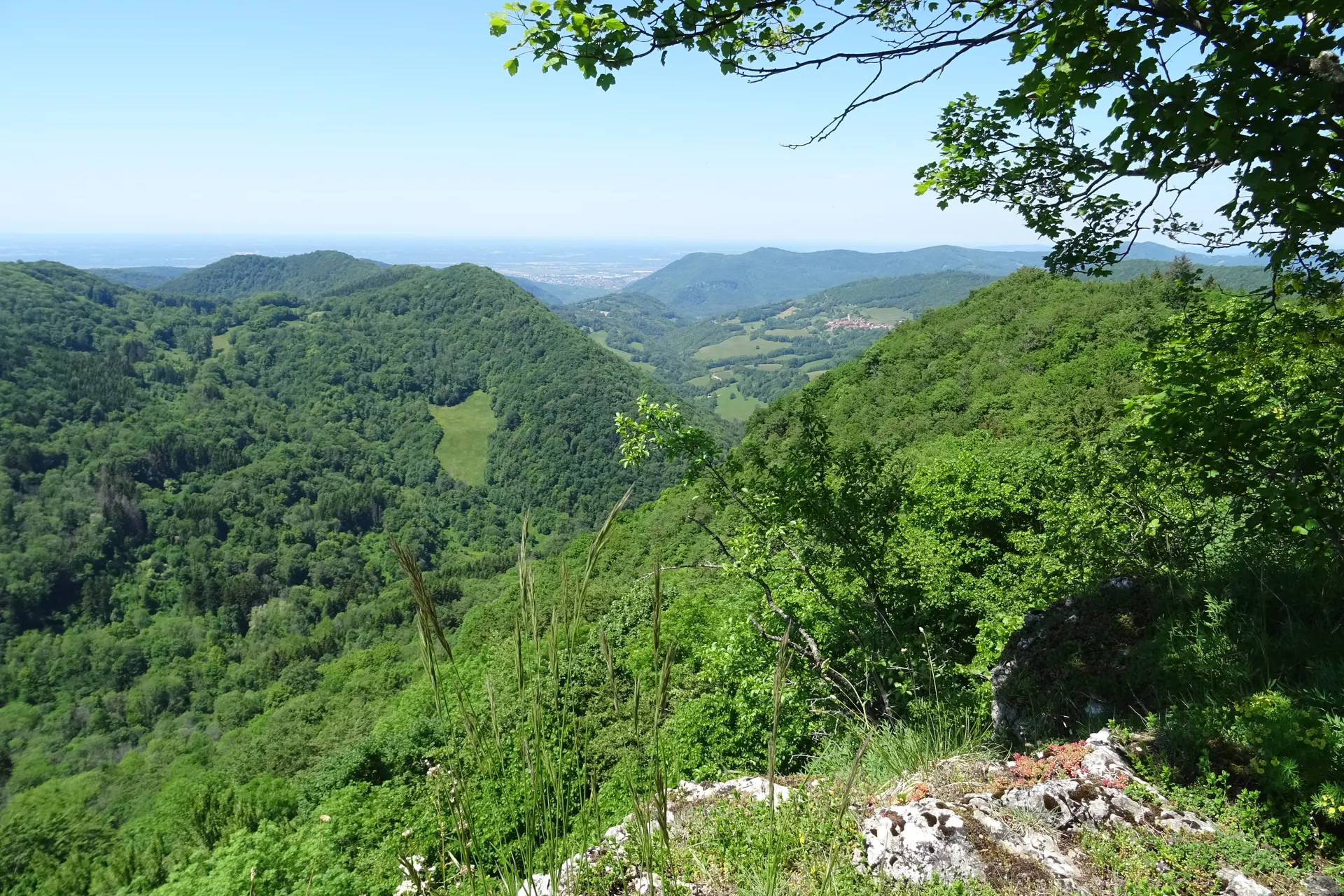 6a16a498e253c_DSC02127.webp