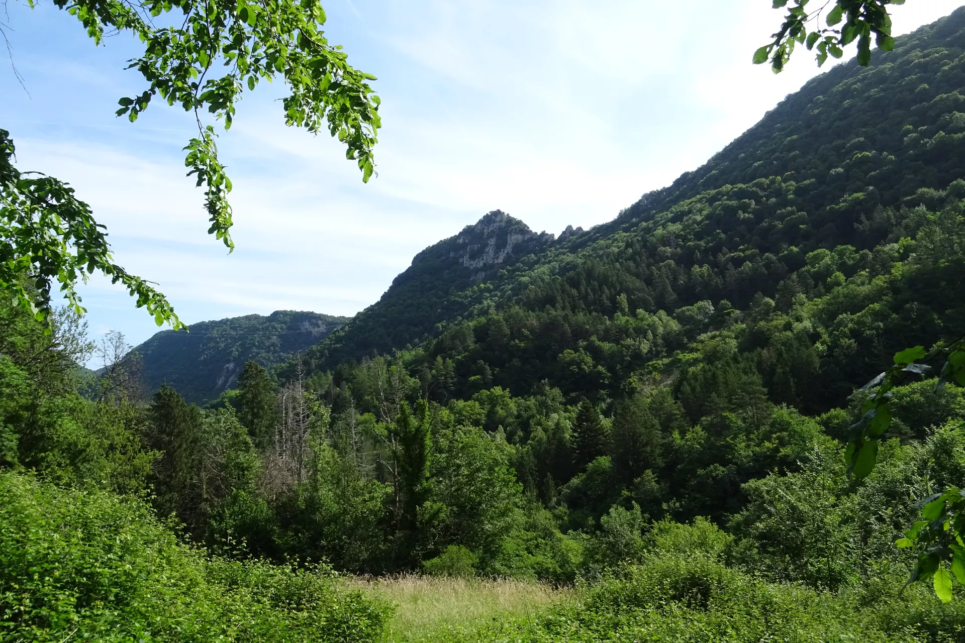 6a267f5336f13_DSC02224.webp