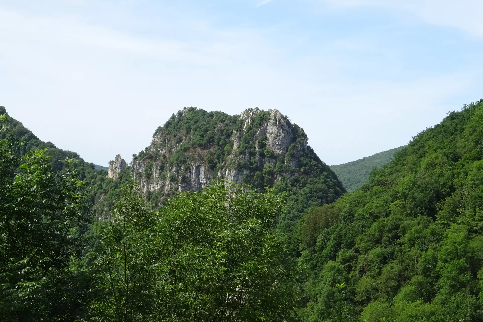 6a267ff007457_DSC02236.webp