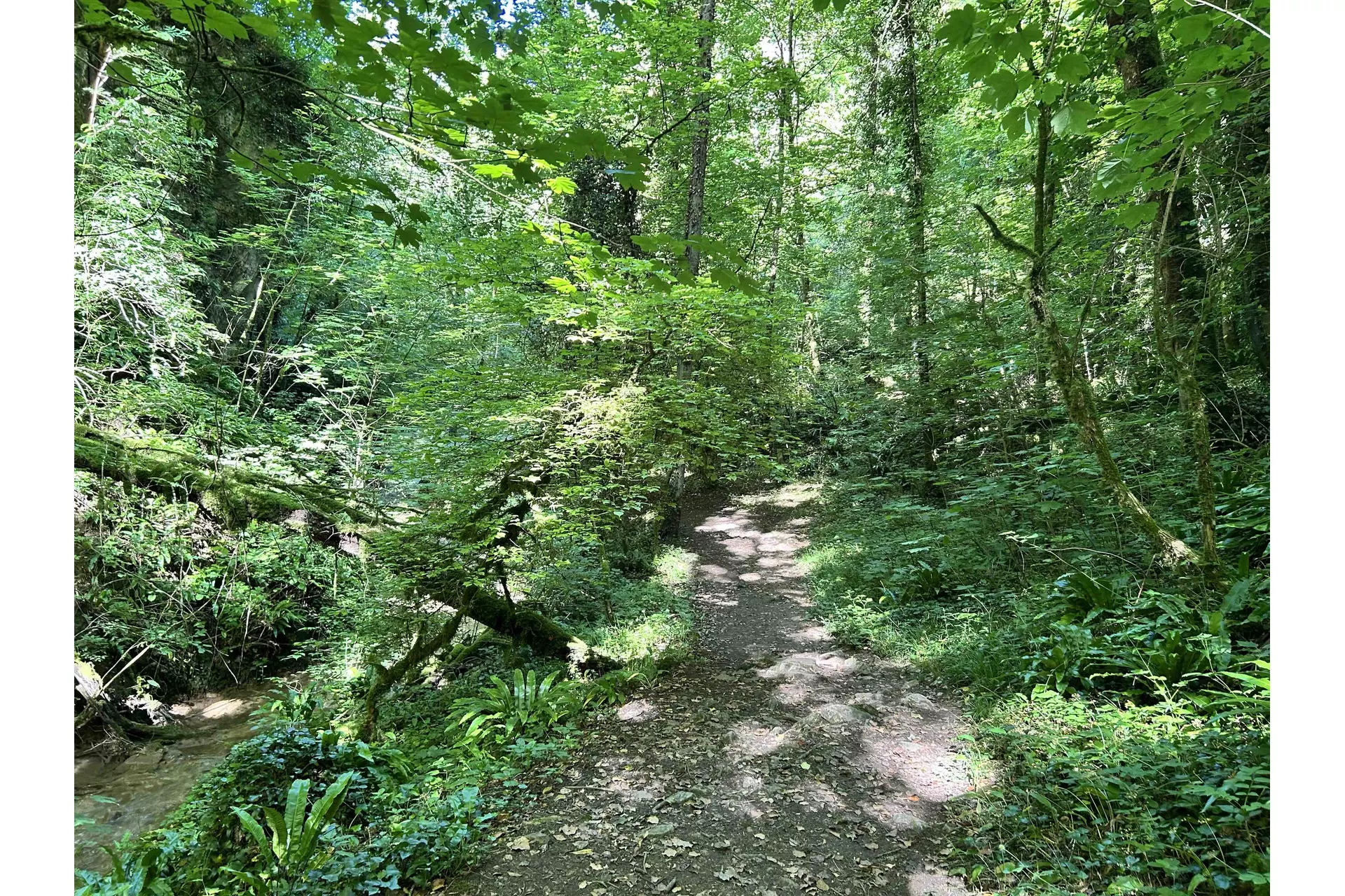 6a31008cd6940_Vers-la-cascade.webp