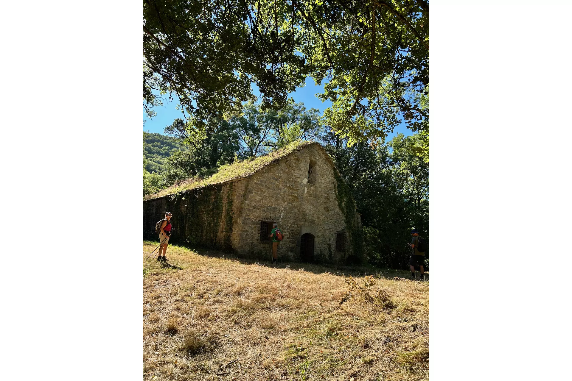 Le Mont Nivigne (Revermont)