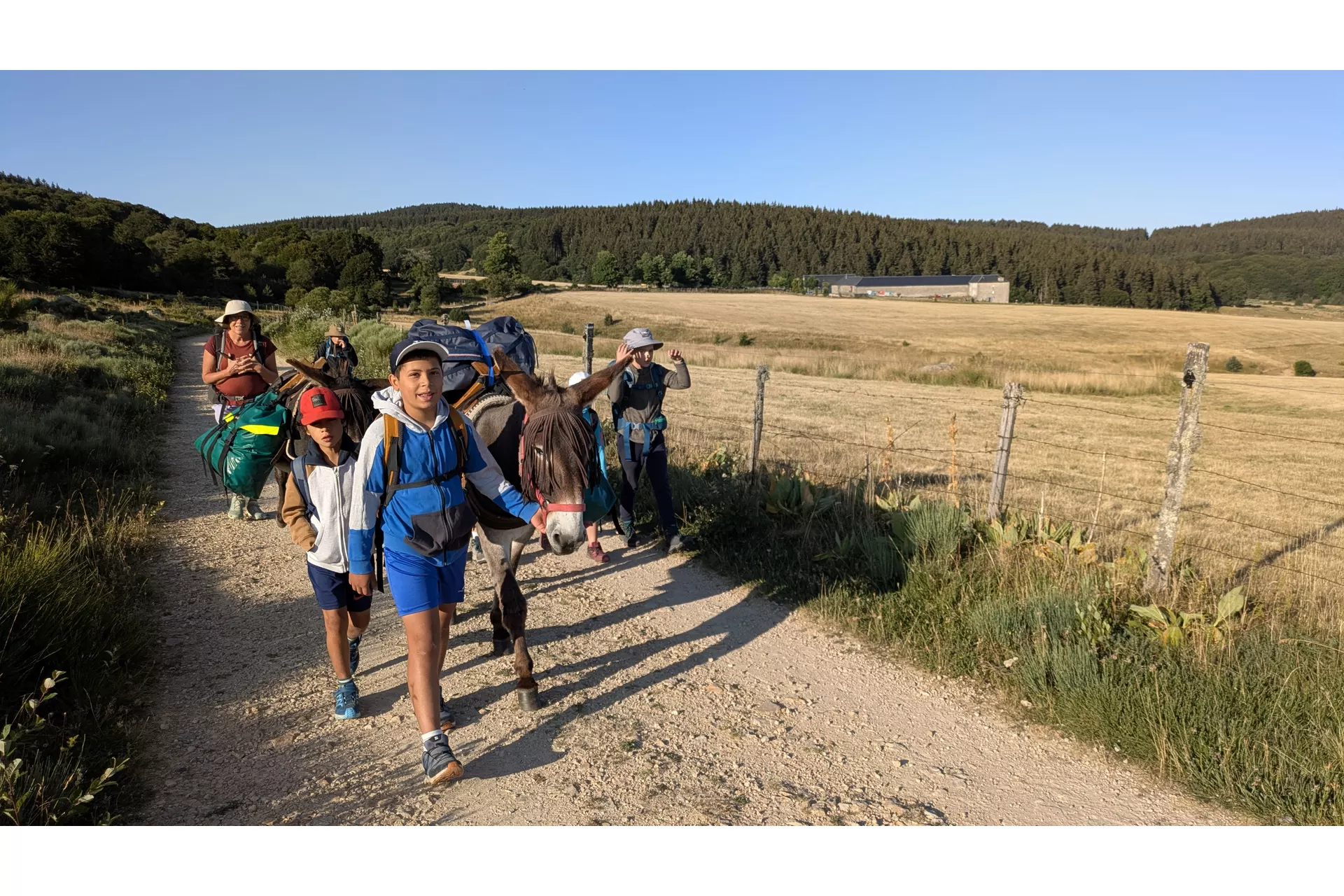 Sur les chemins de Lozère avec 2 ânes