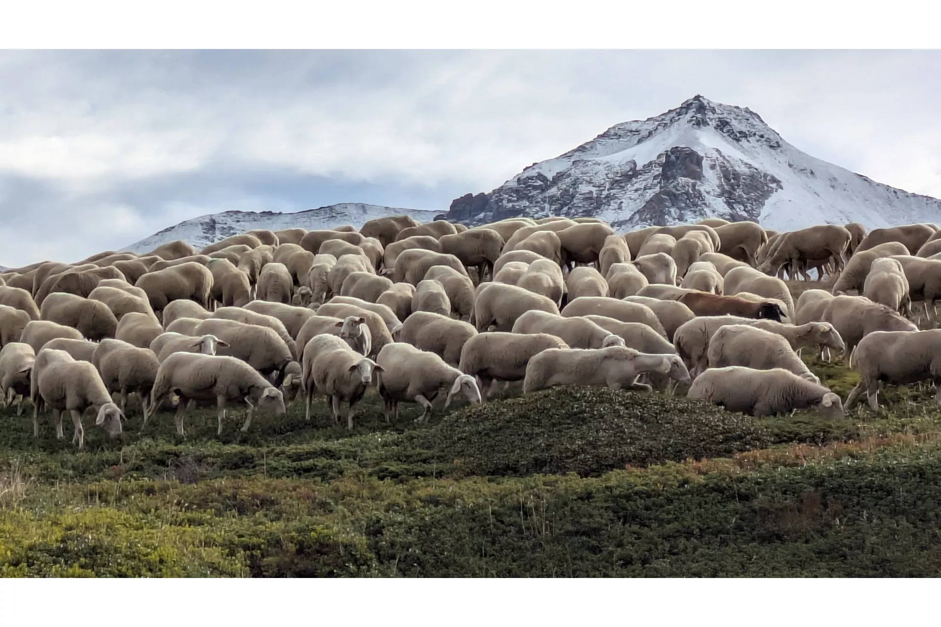 Le Mont Cenis ou l'Histoire avec un grand H