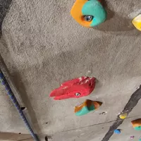 C'est la rentrée escalade !