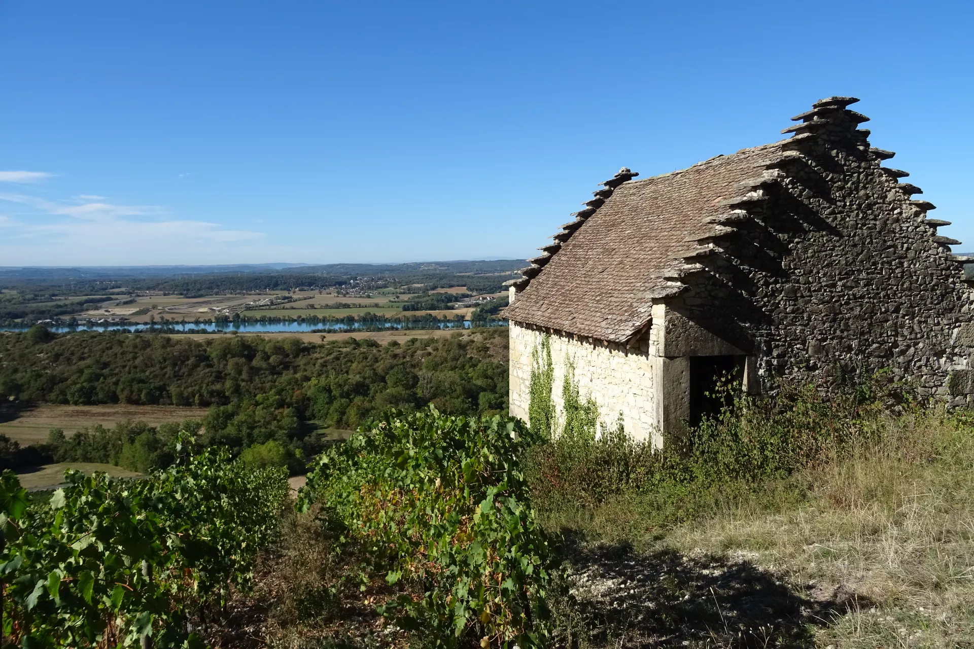 6ab1735369357_DSC02850.webp