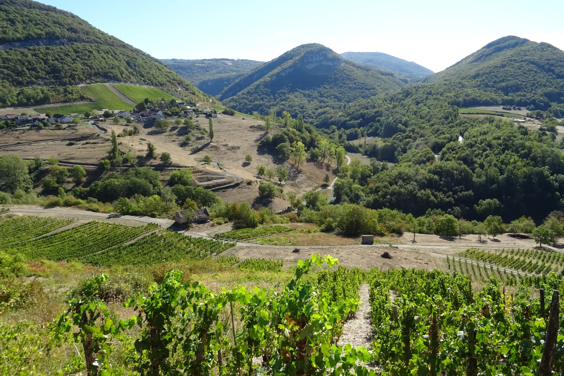 6ab1749d5d1cb_DSC02861.webp