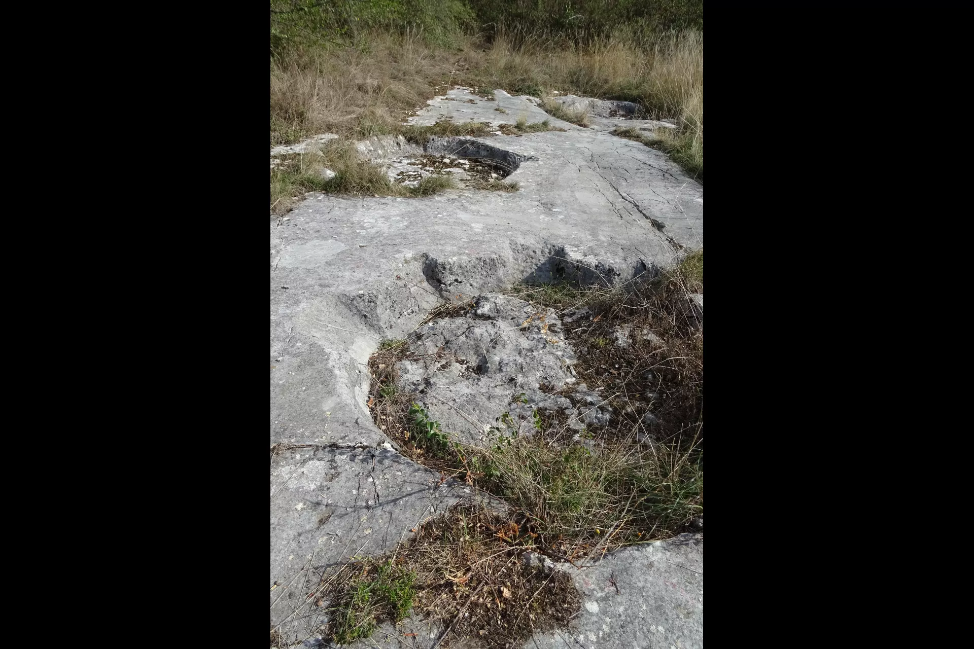 6ab1771b8f168_DSC02882.webp