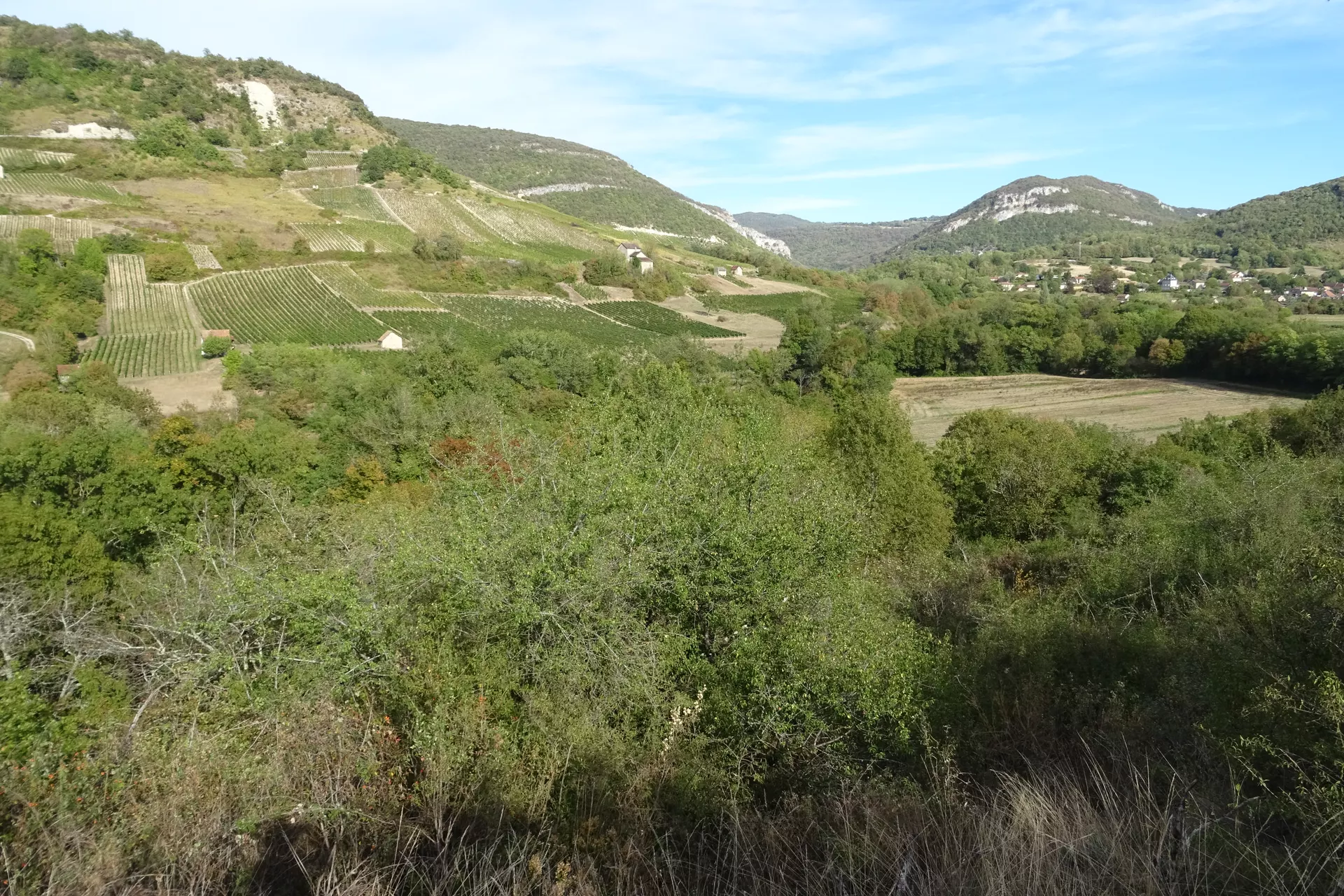 6ab1774eb13ec_DSC02884.webp