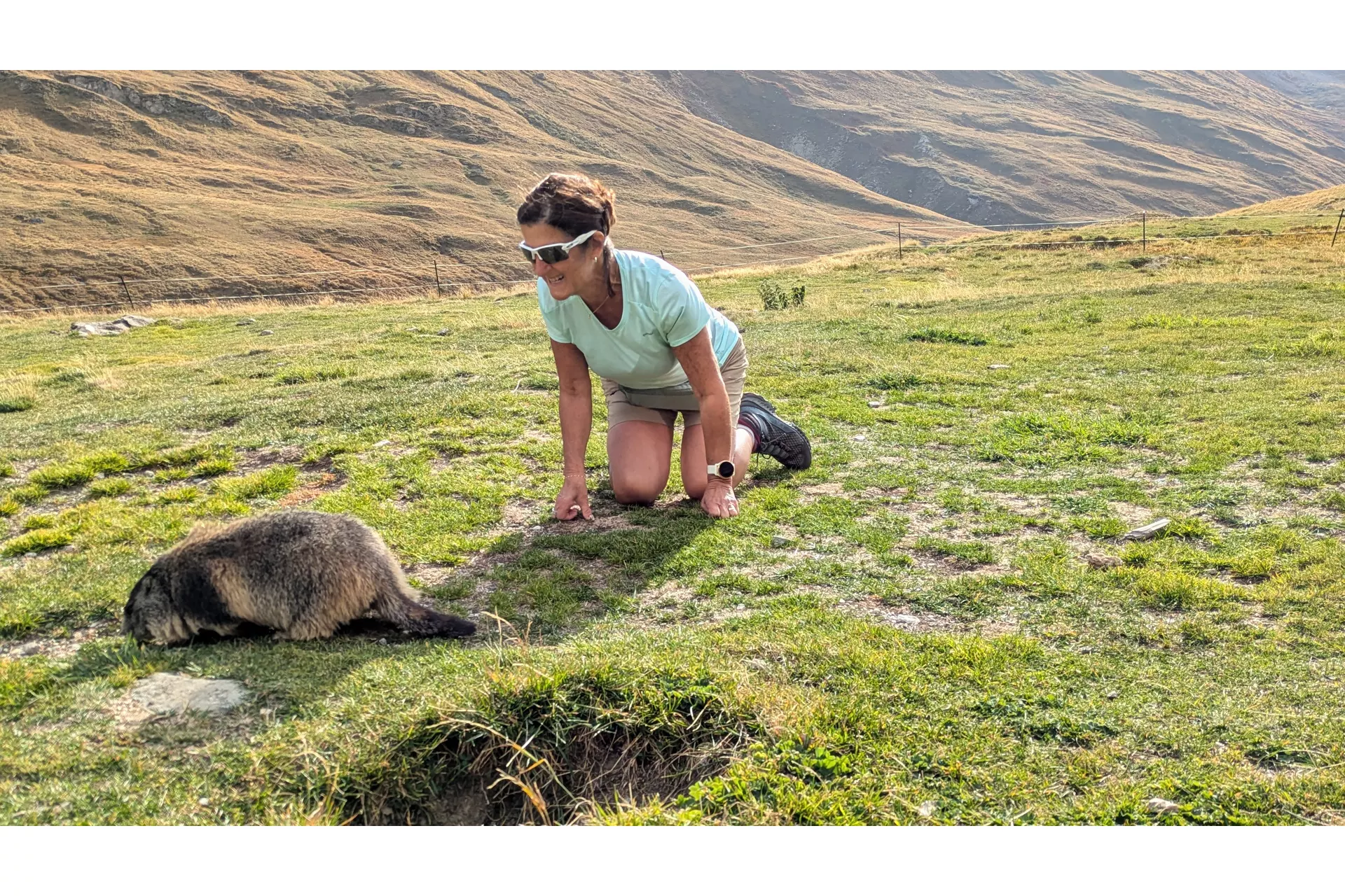 Au pays des marmottes