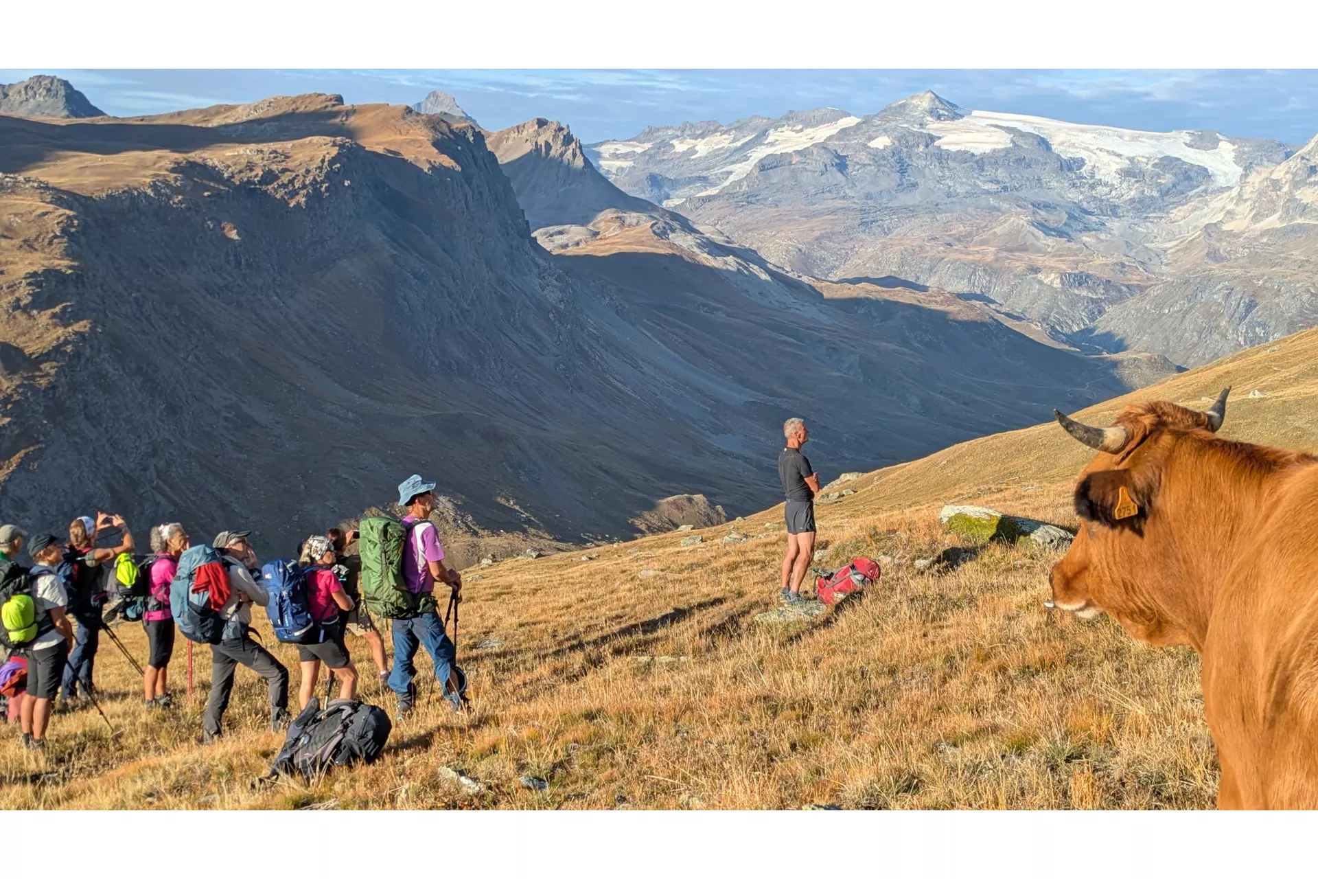 Au pays des marmottes