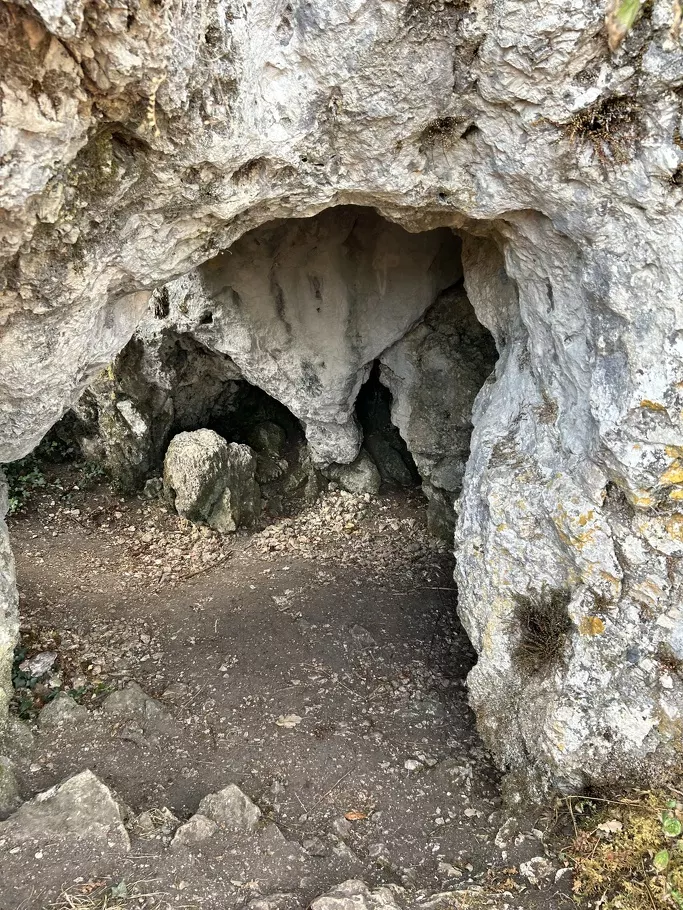 Du côté de Meillonnas