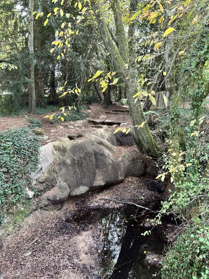 Du côté de Meillonnas